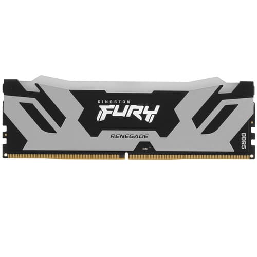 Оперативная память Kingston FURY Renegade Silver RGB [KF580C38RSA-24] 24 ГБ