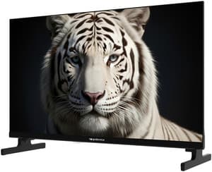 Topdevice 24" (61 см) Телевизор Topdevice TDWC24BH5260V черный, фото 3
