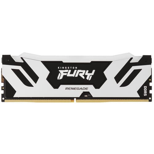 Kingston FURY Оперативная память Kingston FURY Renegade Silver RGB [KF560C32RSA-48] 48 ГБ