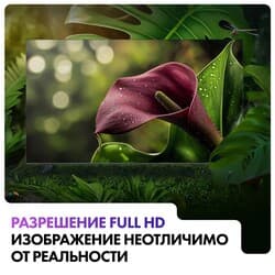 Haier 40" (101 см) Телевизор Haier 40 Smart TV D1 PRO черный, фото 19