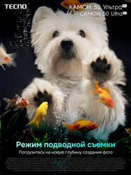 Tecno 6.78" Смартфон Tecno CAMON 50 Ultra 512 ГБ серебристый, фото 21