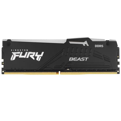 Kingston FURY Оперативная память Kingston FURY Beast Black RGB [KF560C36BBEA-32] 32 ГБ