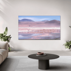 TCL 43" (109 см) Телевизор TCL 43P7K черный, фото 13