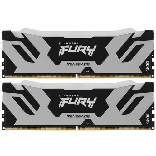Kingston FURY Оперативная память Kingston FURY Renegade Silver RGB [KF580C38RSAK2-48] 48 ГБ