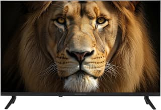 Topdevice 32" (81 см) Телевизор Topdevice TDWC32BF3260V черный