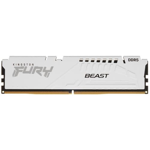 Kingston FURY Оперативная память Kingston FURY Beast White AMD [KF556C36BWE-16] 16 ГБ