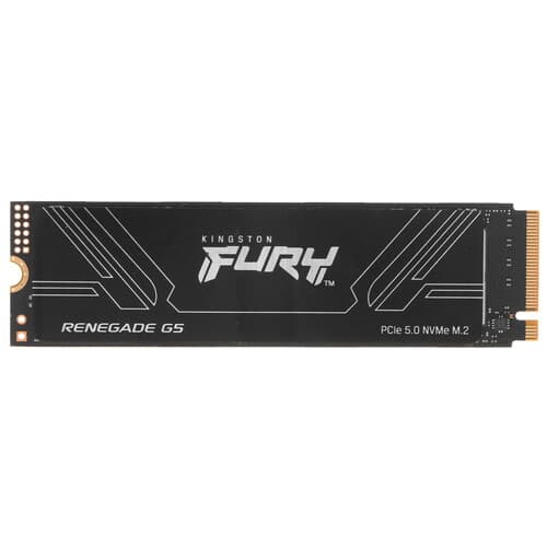 4096 ГБ M.2 NVMe накопитель Kingston FURY Renegade G5 [SFYR2S/4T0] thumb 1