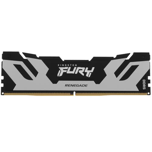 Kingston FURY Оперативная память Kingston FURY Renegade Silver [KF588CU42RS-24] 24 ГБ