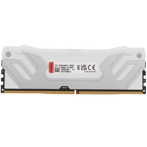 Kingston FURY Оперативная память Kingston Fury Renegade White RGB [KF588CU42RWA-24] 24 ГБ, фото 2