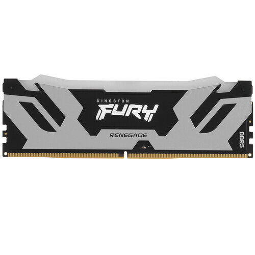 Kingston FURY Оперативная память Kingston FURY Renegade Silver RGB [KF580C38RSA-24] 24 ГБ