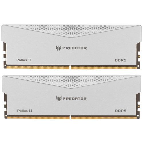 Acer Оперативная память Acer Predator Pallas II [BL.9BWWR.377] 64 ГБ