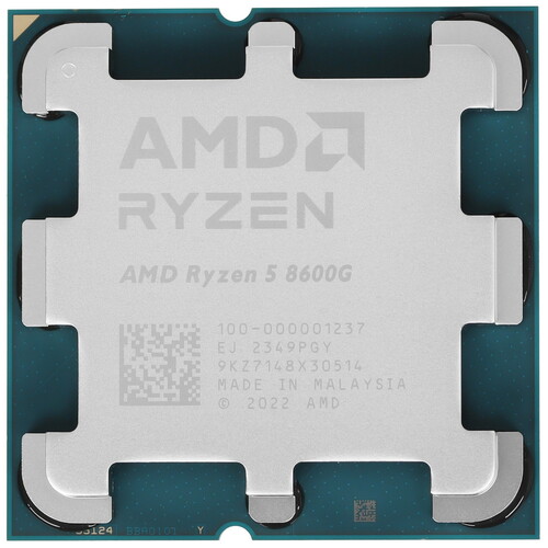 AMD Процессор AMD Ryzen 5 8600G OEM