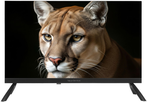 Topdevice 24" (61 см) Телевизор Topdevice TDWC24BH1000I черный