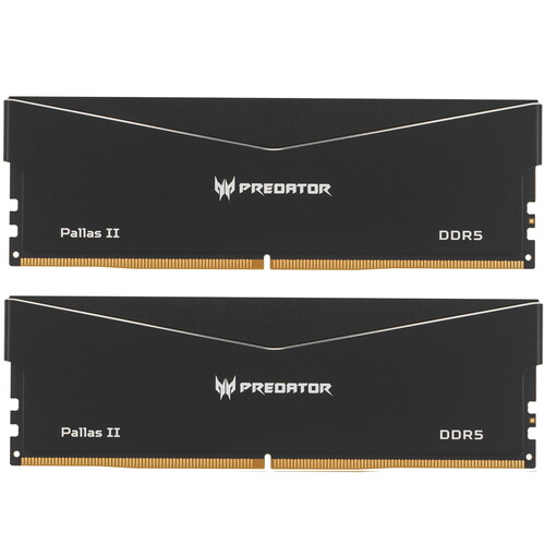 Acer Оперативная память Acer Predator Pallas II [BL.9BWWR.438] 64 ГБ
