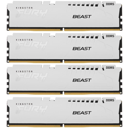 Kingston FURY Оперативная память Kingston FURY Beast White [KF552C40BWK4-64] 64 ГБ