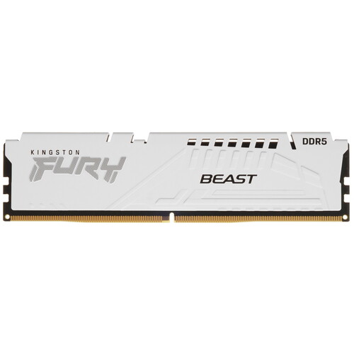 Kingston FURY Оперативная память Kingston FURY Beast White AMD [KF556C36BWE-16] 16 ГБ