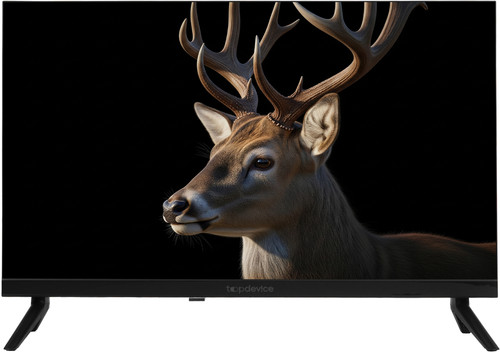 Topdevice 24" (61 см) Телевизор Topdevice TDWC24BH3260V черный