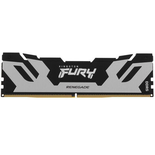 Kingston FURY Оперативная память Kingston FURY Renegade Silver [KF588CU42RS-24] 24 ГБ