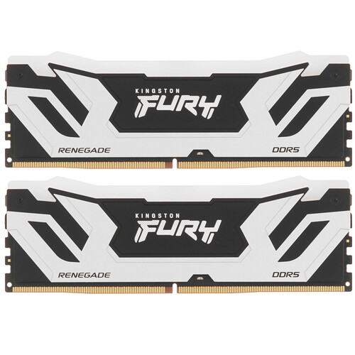 Kingston FURY Оперативная память Kingston FURY Renegade Silver RGB [KF588CU42RSAK2-48] 48 ГБ
